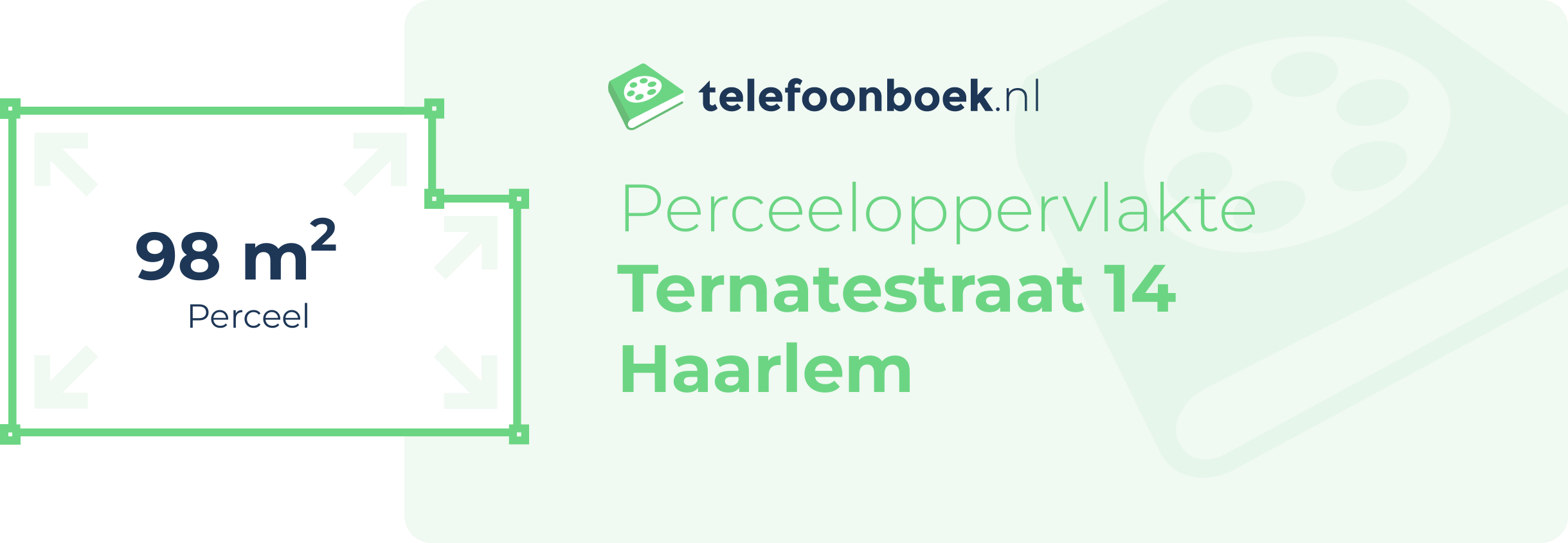 Perceeloppervlakte Ternatestraat 14 Haarlem
