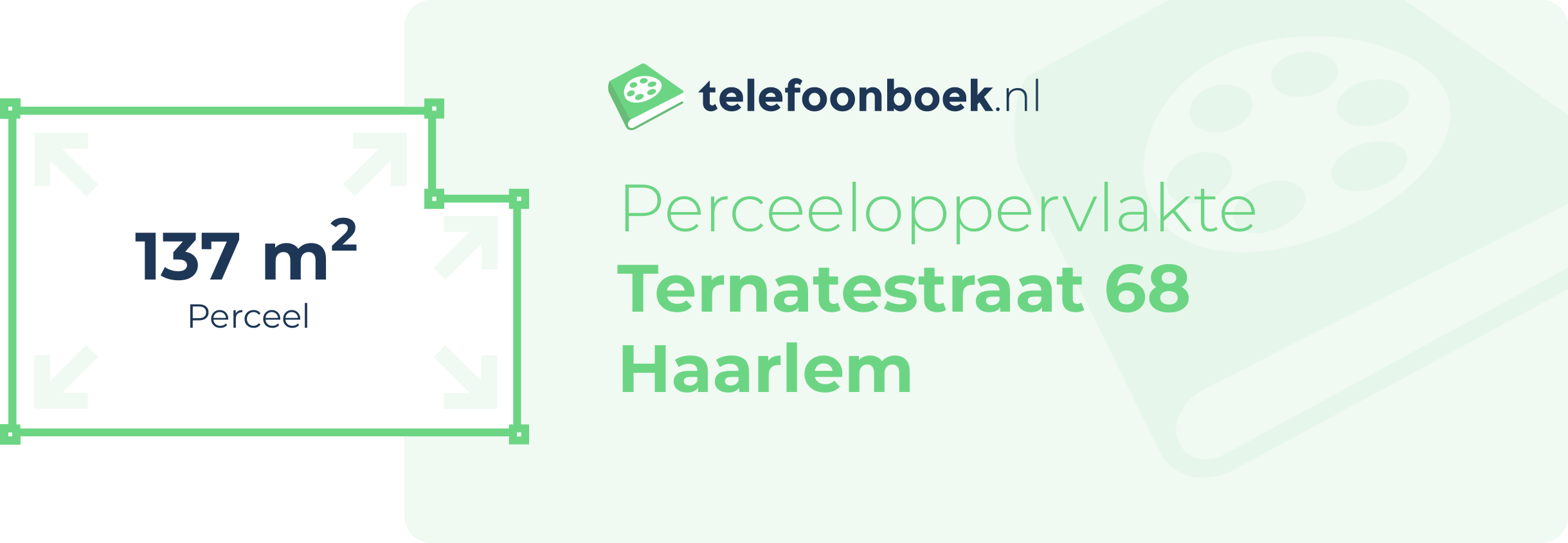 Perceeloppervlakte Ternatestraat 68 Haarlem