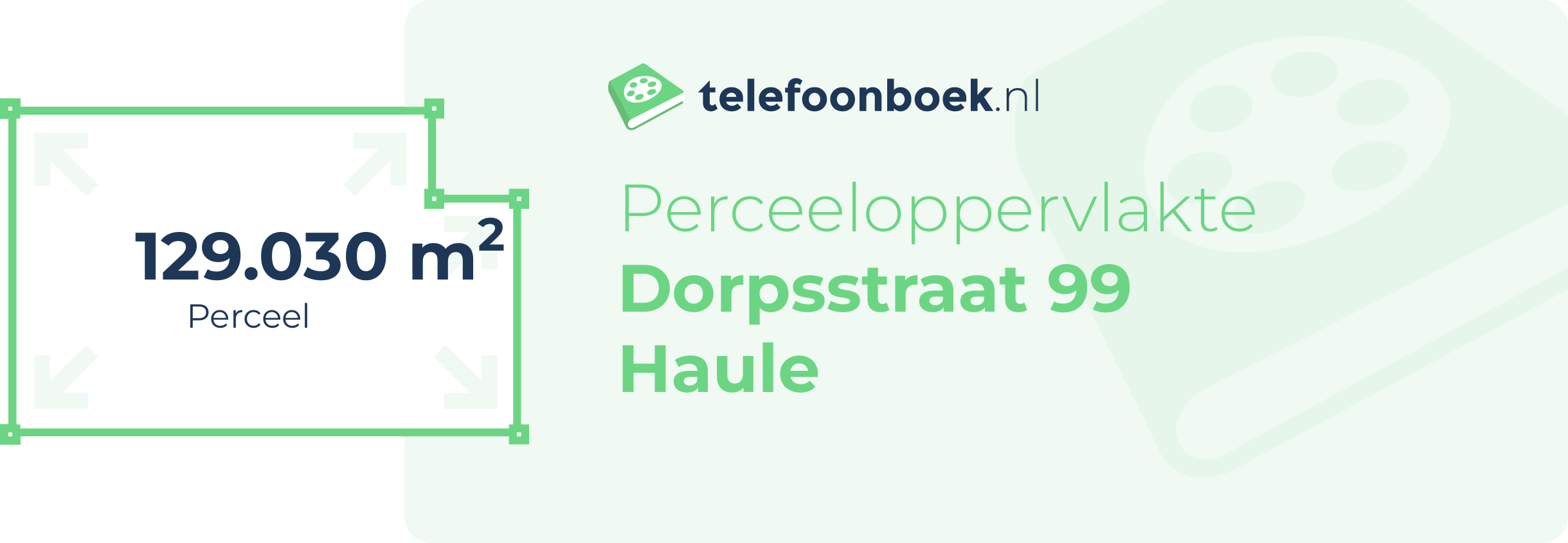 Perceeloppervlakte Dorpsstraat 99 Haule