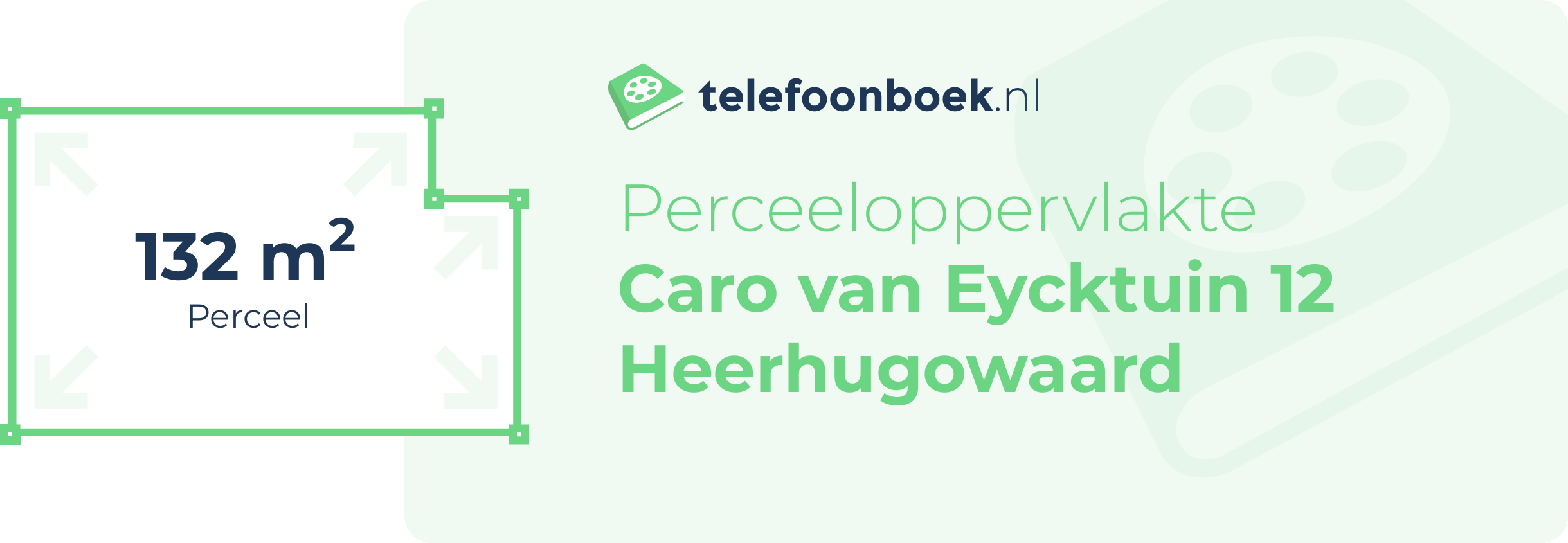 Perceeloppervlakte Caro Van Eycktuin 12 Heerhugowaard