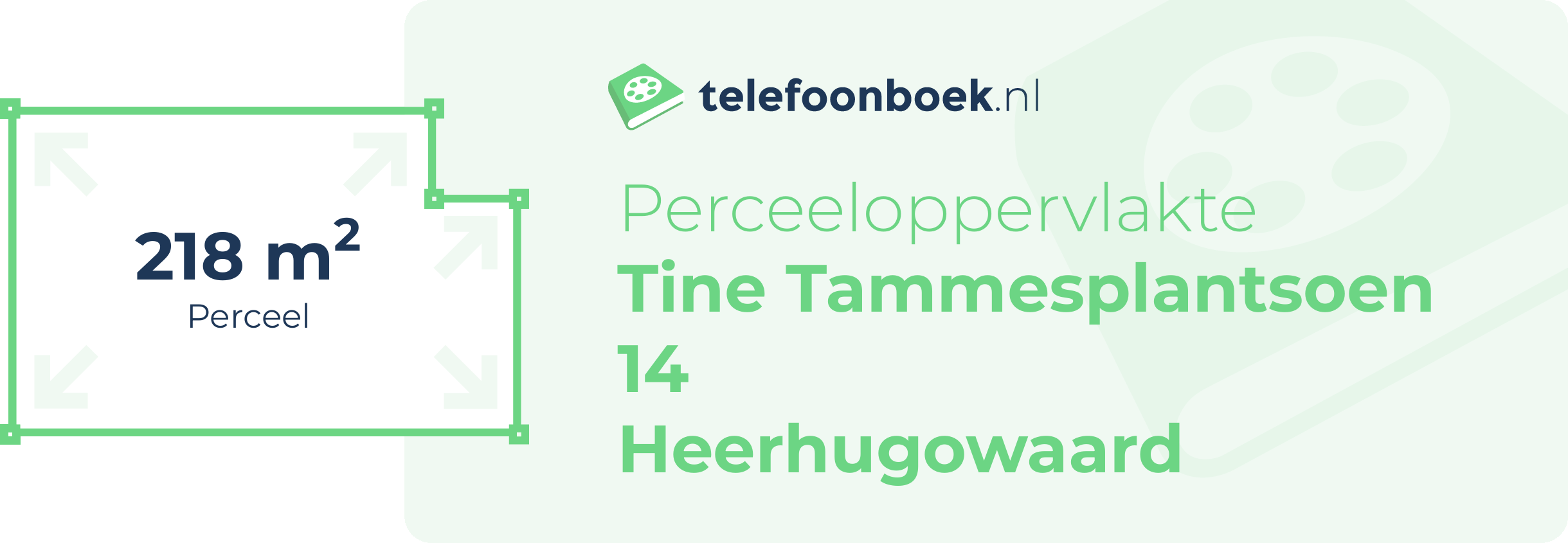 Perceeloppervlakte Tine Tammesplantsoen 14 Heerhugowaard