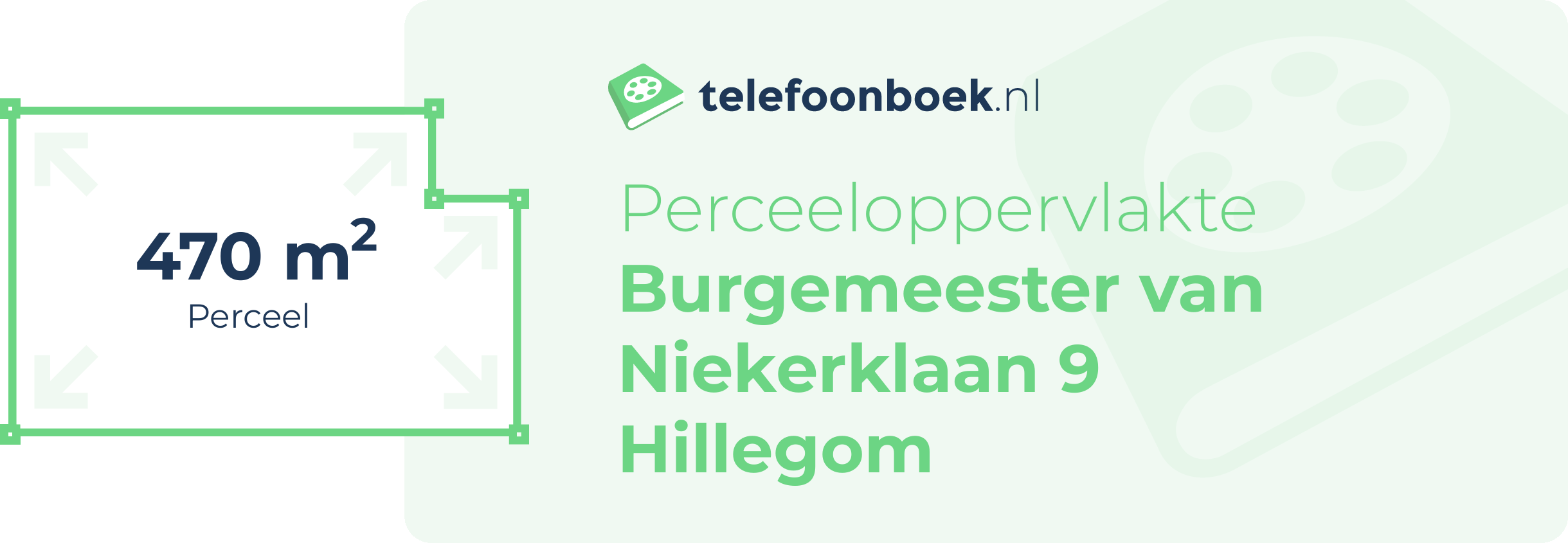 Perceeloppervlakte Burgemeester Van Niekerklaan 9 Hillegom