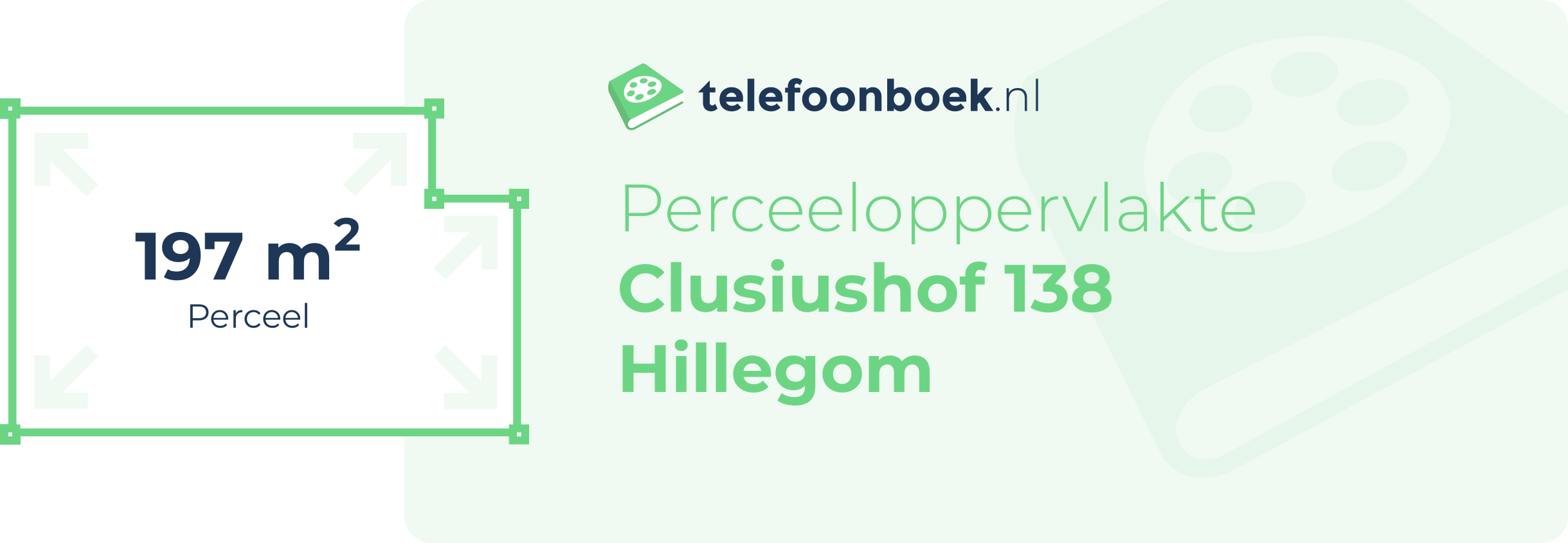 Perceeloppervlakte Clusiushof 138 Hillegom