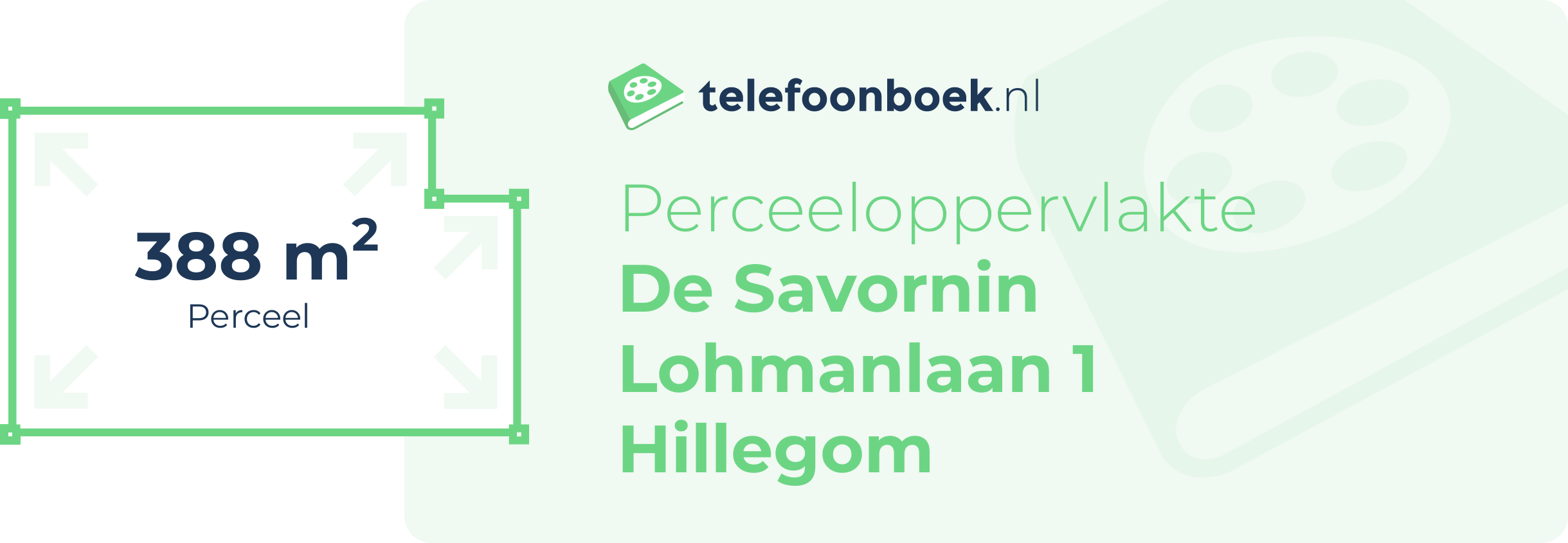 Perceeloppervlakte De Savornin Lohmanlaan 1 Hillegom