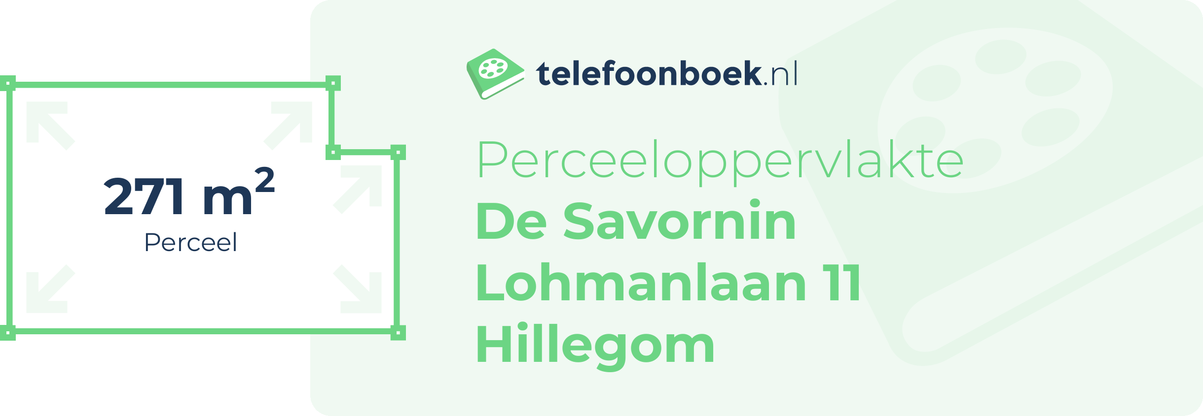 Perceeloppervlakte De Savornin Lohmanlaan 11 Hillegom