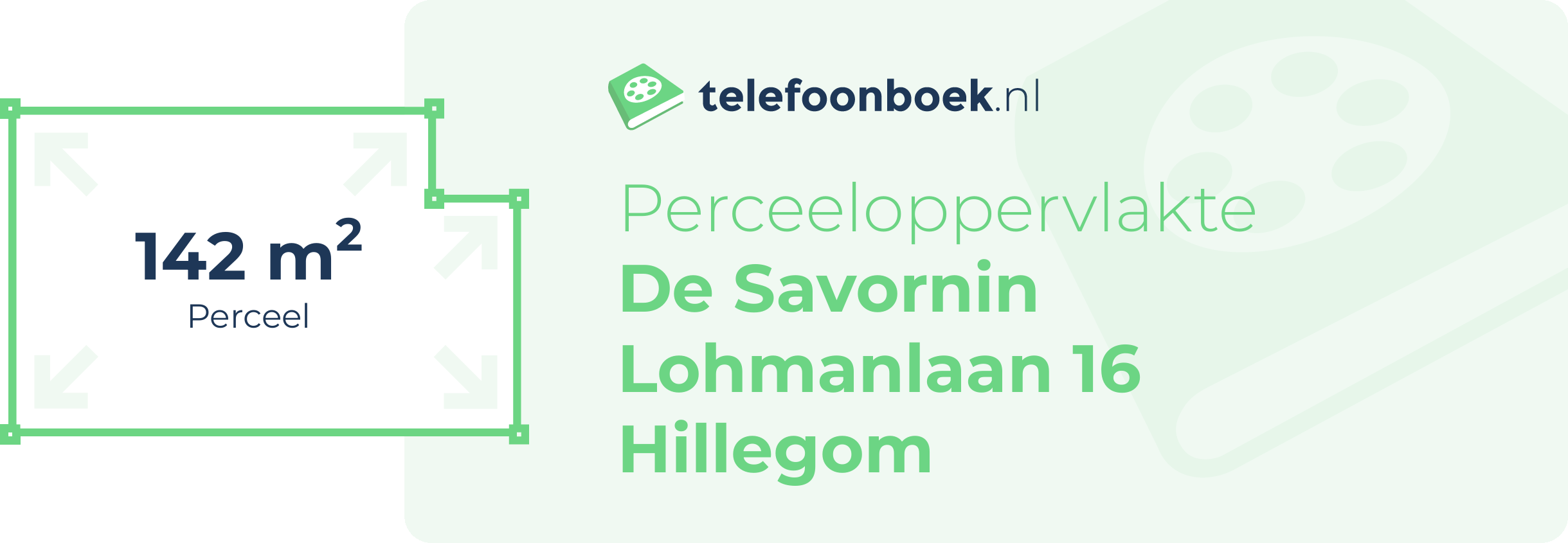 Perceeloppervlakte De Savornin Lohmanlaan 16 Hillegom