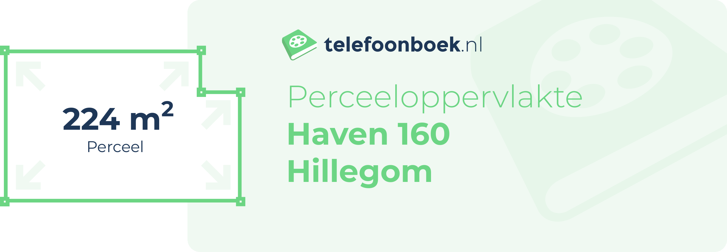 Perceeloppervlakte Haven 160 Hillegom