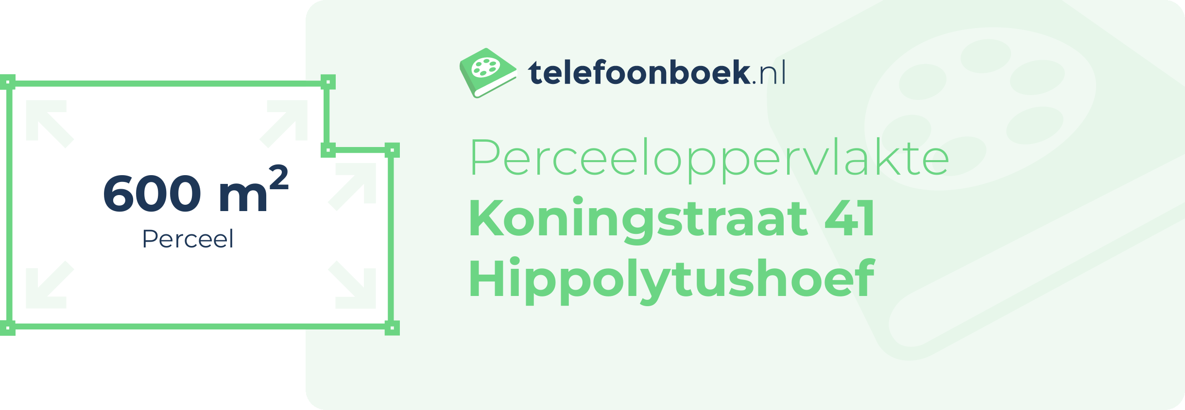 Perceeloppervlakte Koningstraat 41 Hippolytushoef