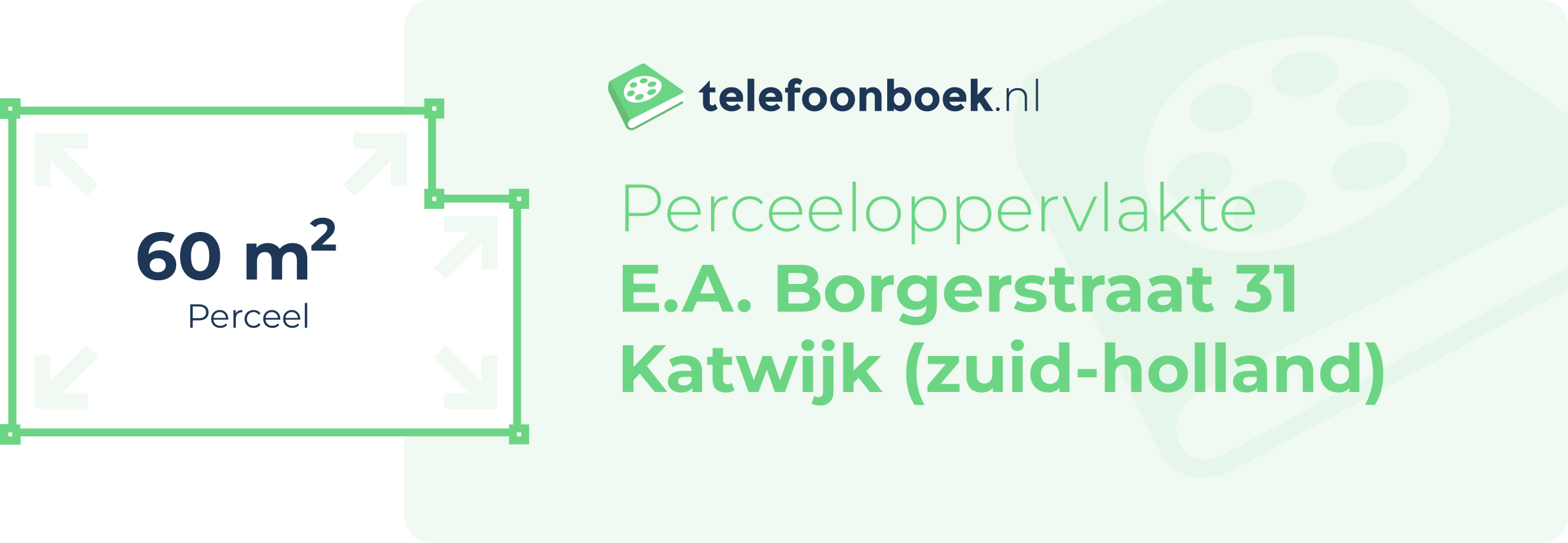 Perceeloppervlakte E.A. Borgerstraat 31 Katwijk (Zuid-Holland)