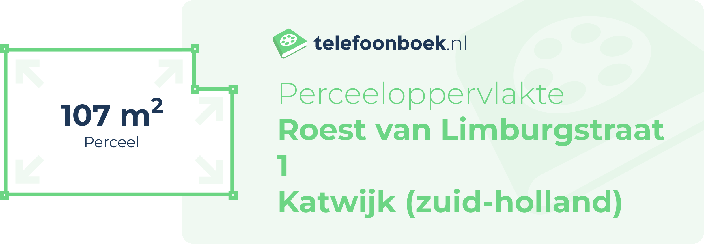 Perceeloppervlakte Roest Van Limburgstraat 1 Katwijk (Zuid-Holland)