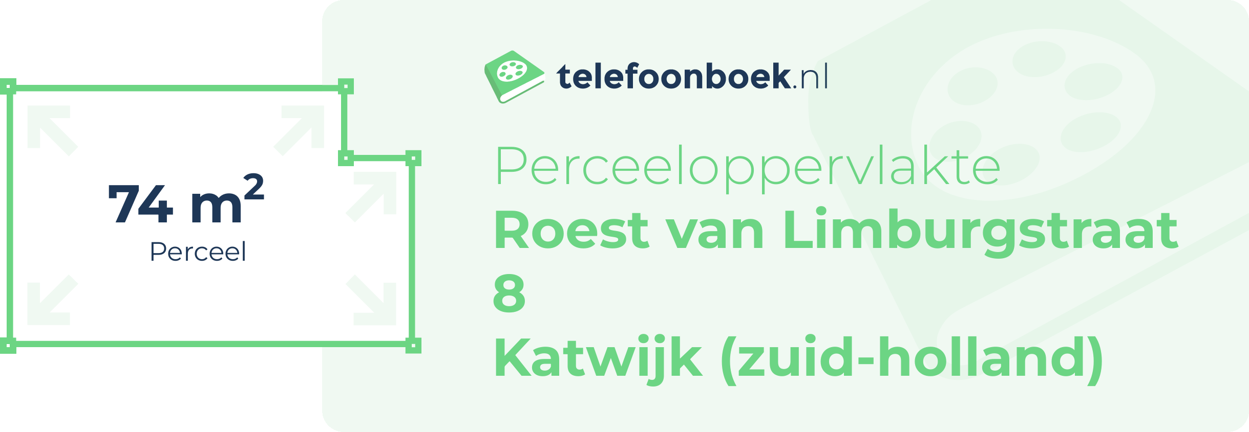 Perceeloppervlakte Roest Van Limburgstraat 8 Katwijk (Zuid-Holland)