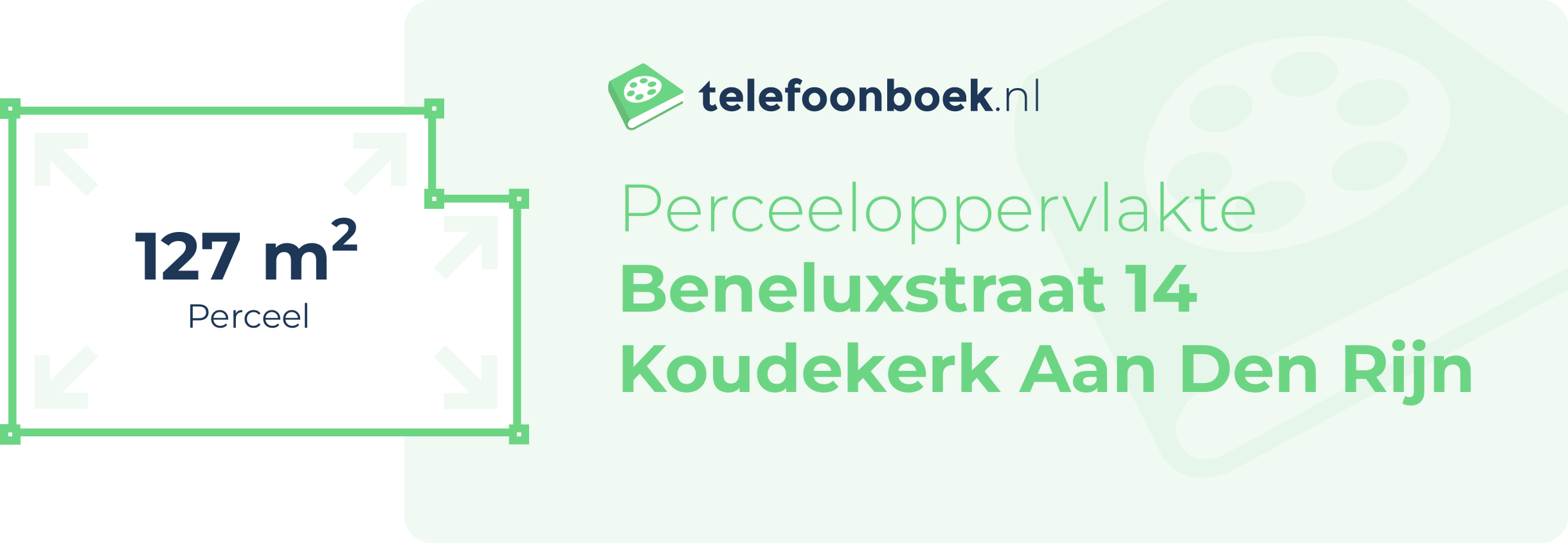 Perceeloppervlakte Beneluxstraat 14 Koudekerk Aan Den Rijn