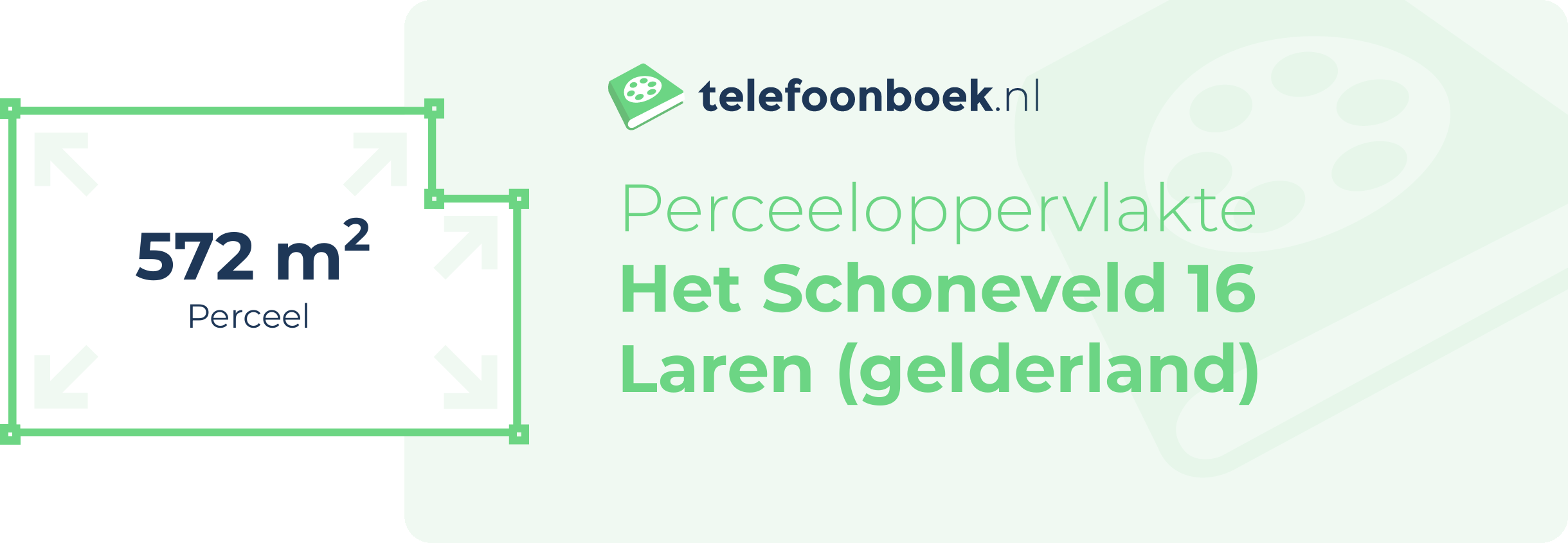 Perceeloppervlakte Het Schoneveld 16 Laren (Gelderland)