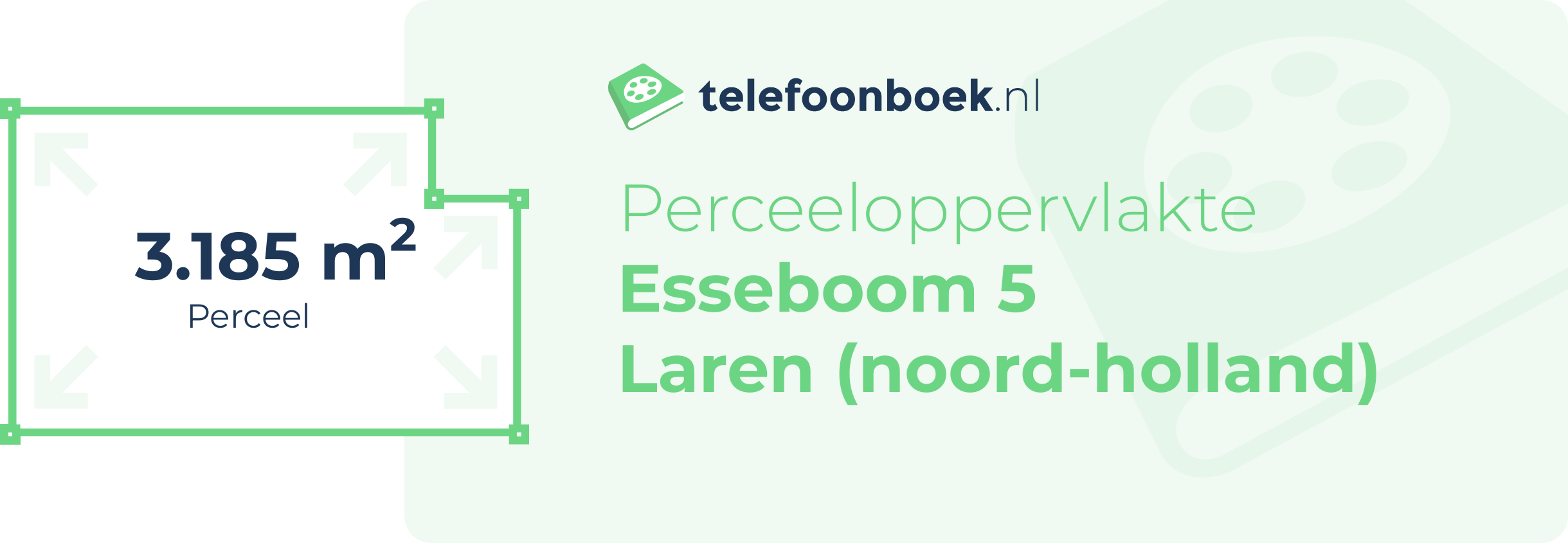 Perceeloppervlakte Esseboom 5 Laren (Noord-Holland)