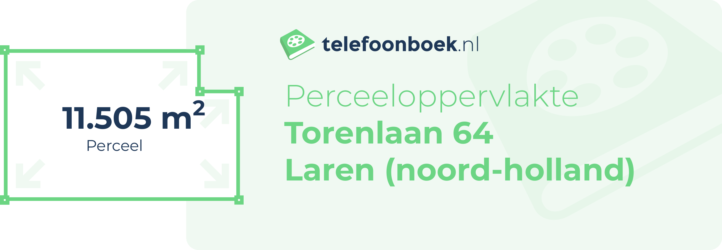 Perceeloppervlakte Torenlaan 64 Laren (Noord-Holland)