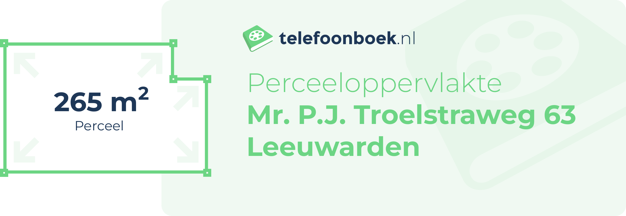 Perceeloppervlakte Mr. P.J. Troelstraweg 63 Leeuwarden