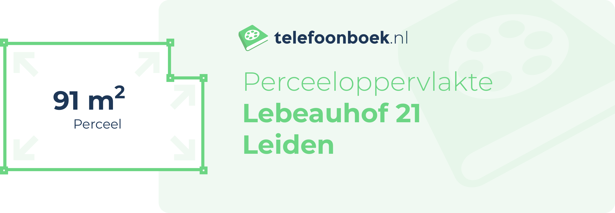 Perceeloppervlakte Lebeauhof 21 Leiden