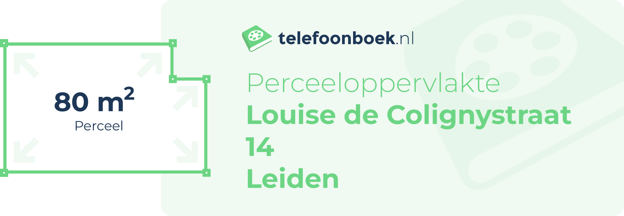 Perceeloppervlakte Louise De Colignystraat 14 Leiden