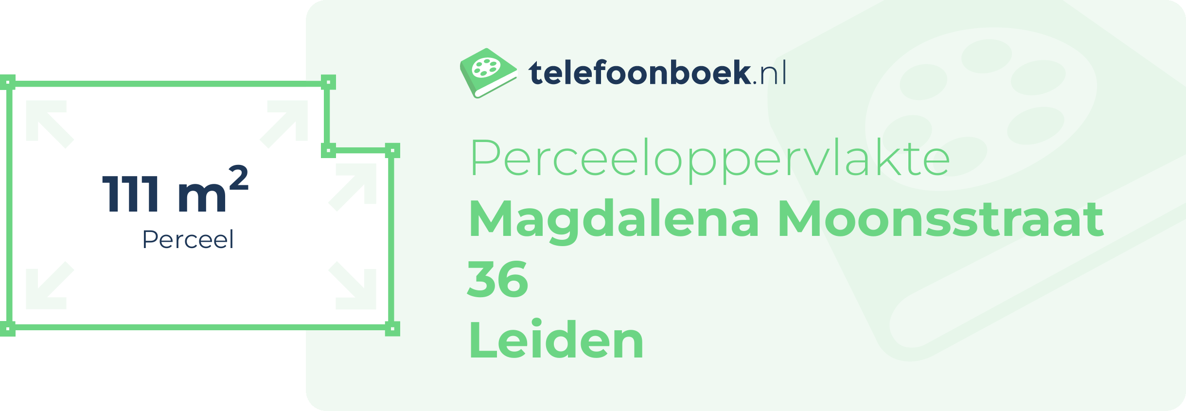 Perceeloppervlakte Magdalena Moonsstraat 36 Leiden