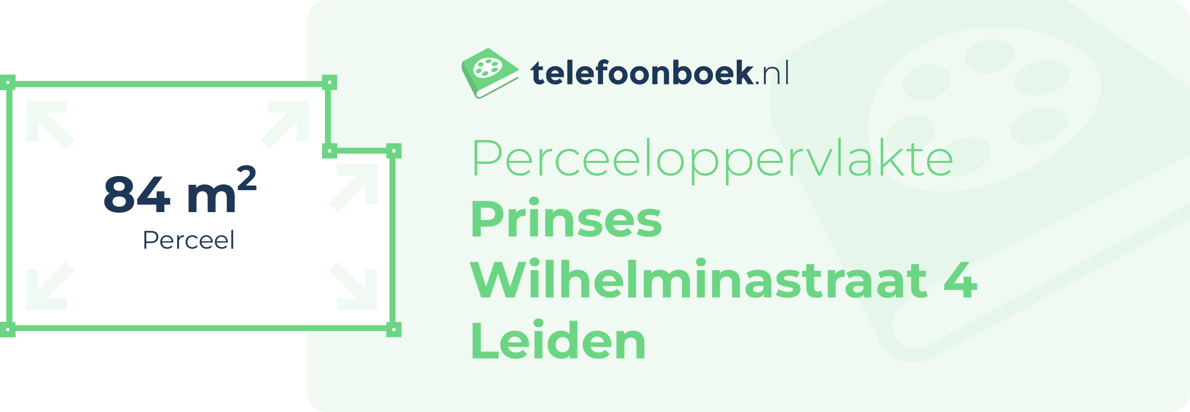 Perceeloppervlakte Prinses Wilhelminastraat 4 Leiden