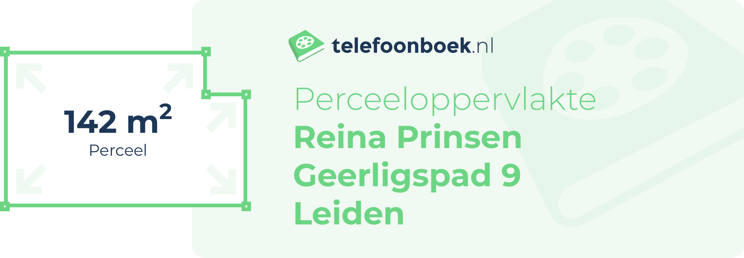 Perceeloppervlakte Reina Prinsen Geerligspad 9 Leiden