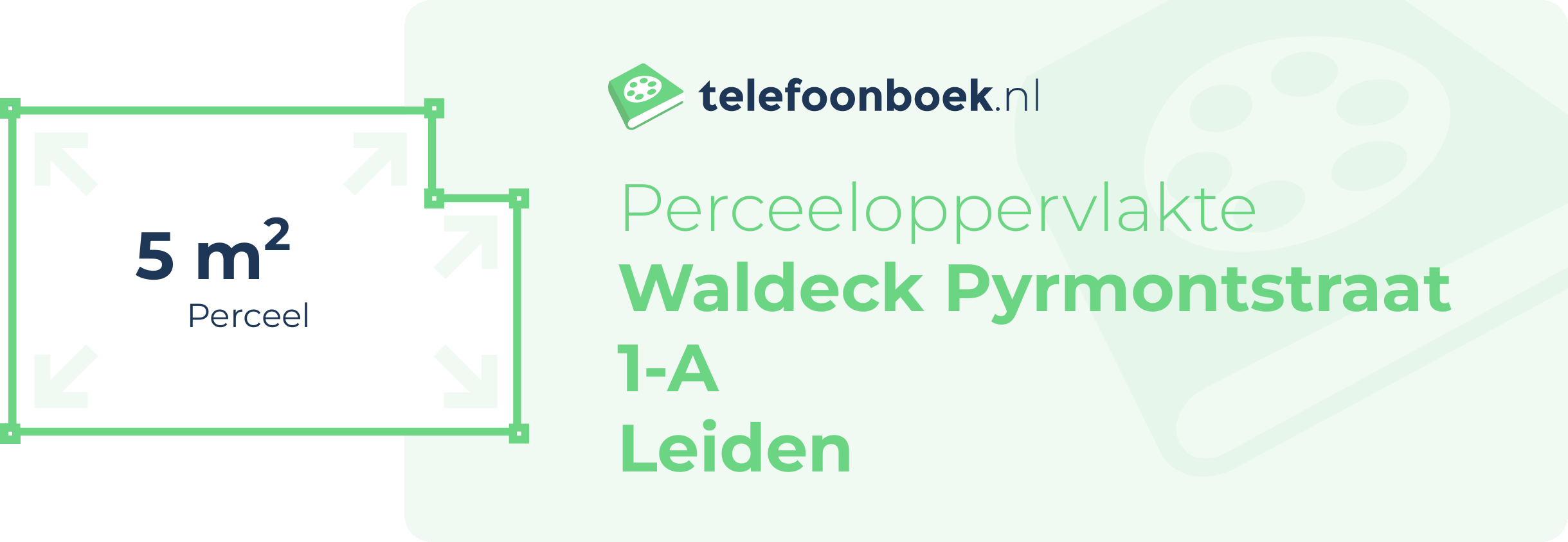 Perceeloppervlakte Waldeck Pyrmontstraat 1-A Leiden