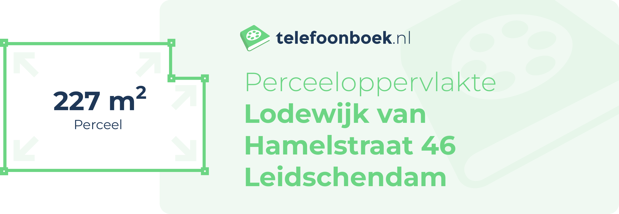 Perceeloppervlakte Lodewijk Van Hamelstraat 46 Leidschendam