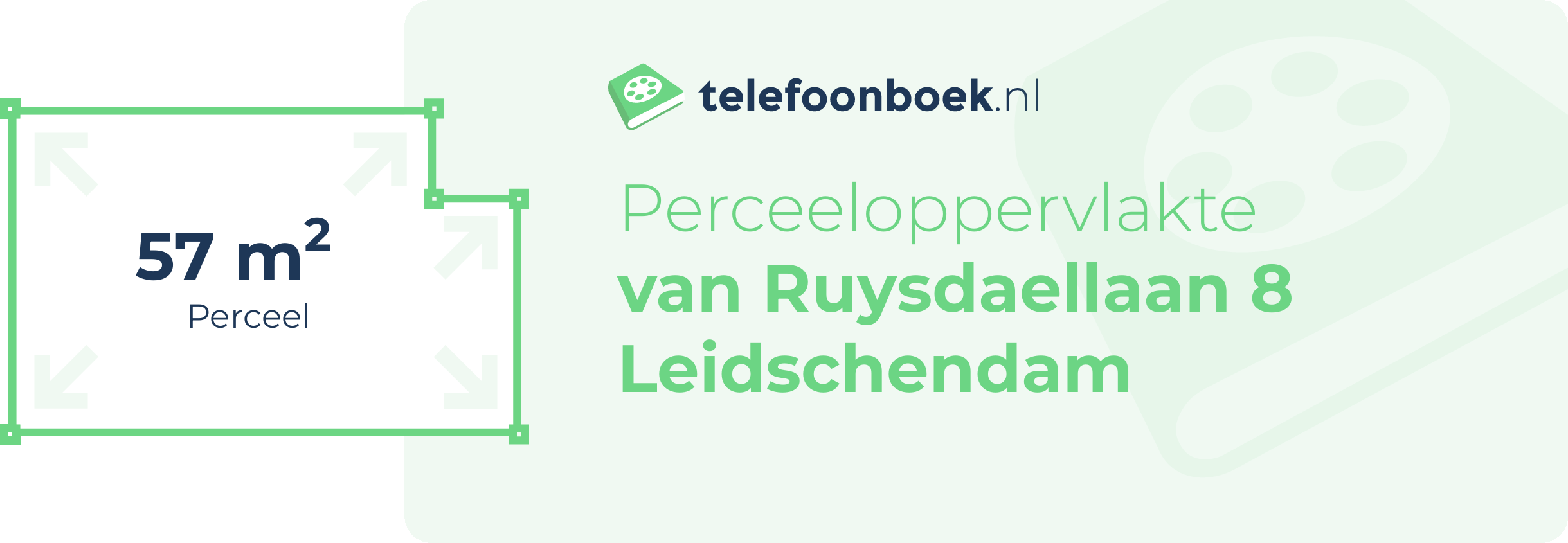 Perceeloppervlakte Van Ruysdaellaan 8 Leidschendam