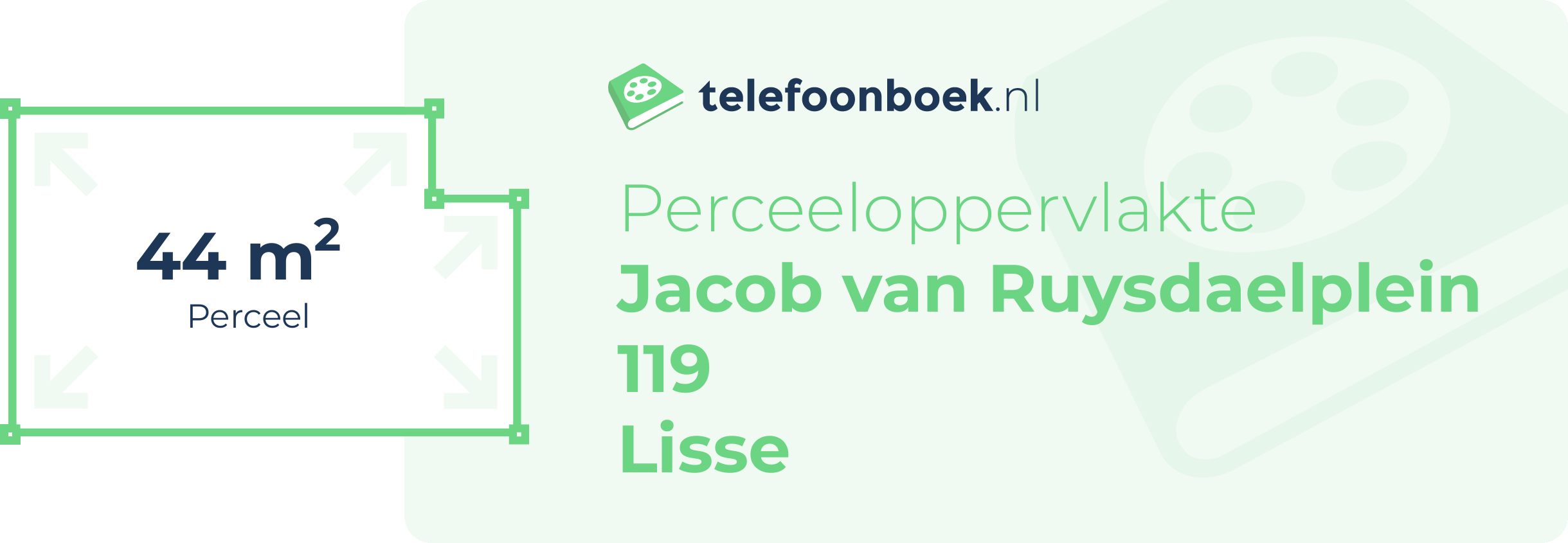 Perceeloppervlakte Jacob Van Ruysdaelplein 119 Lisse