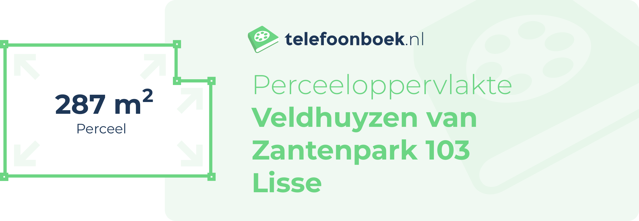 Perceeloppervlakte Veldhuyzen Van Zantenpark 103 Lisse