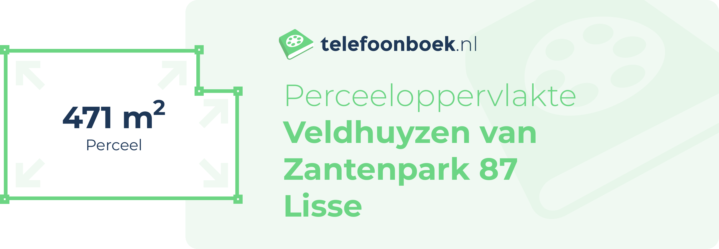 Perceeloppervlakte Veldhuyzen Van Zantenpark 87 Lisse