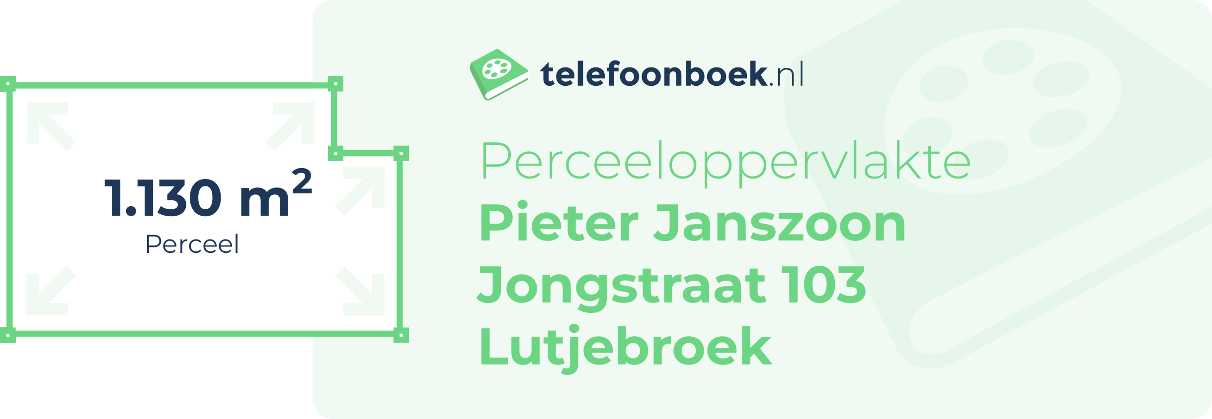 Perceeloppervlakte Pieter Janszoon Jongstraat 103 Lutjebroek