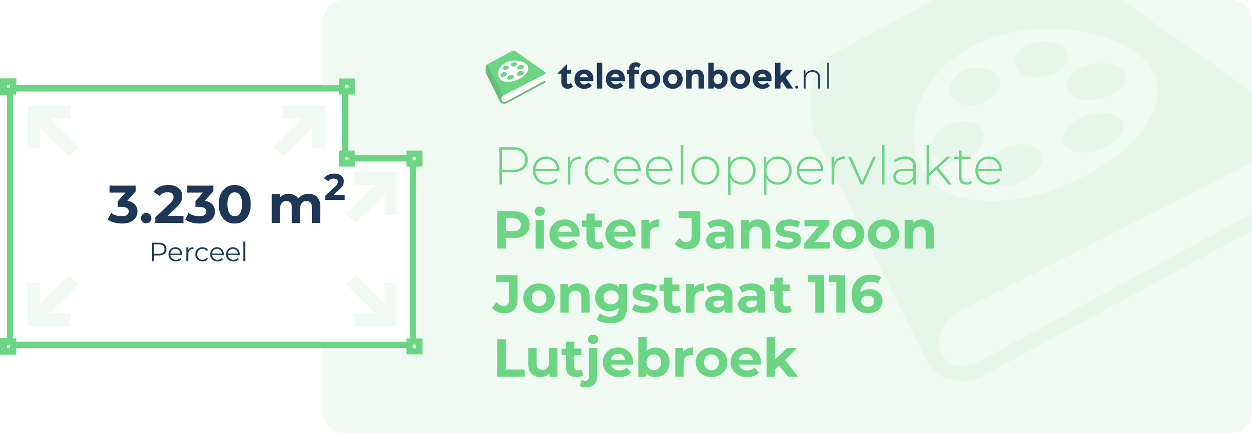 Perceeloppervlakte Pieter Janszoon Jongstraat 116 Lutjebroek