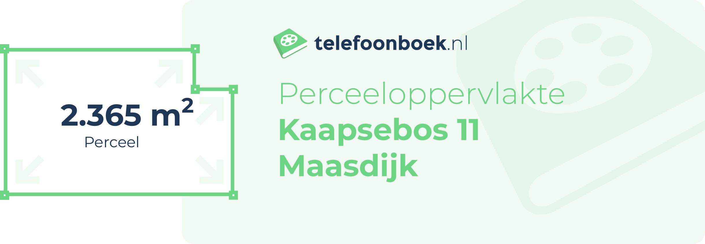 Perceeloppervlakte Kaapsebos 11 Maasdijk