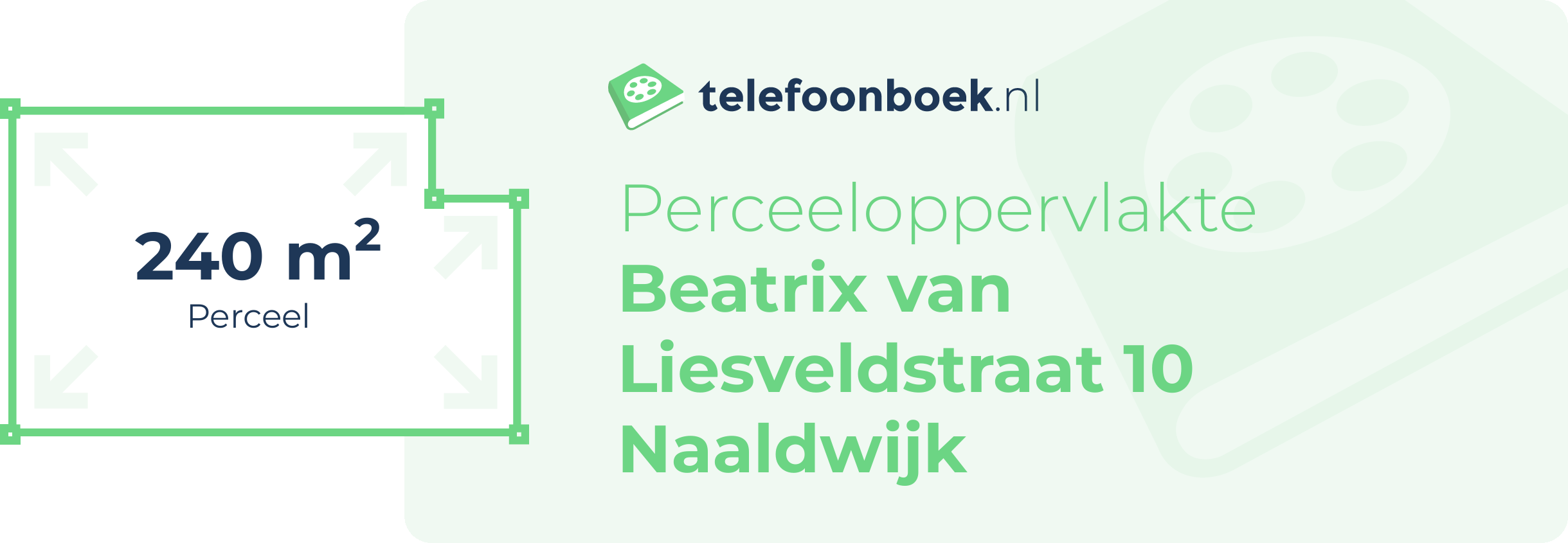 Perceeloppervlakte Beatrix Van Liesveldstraat 10 Naaldwijk