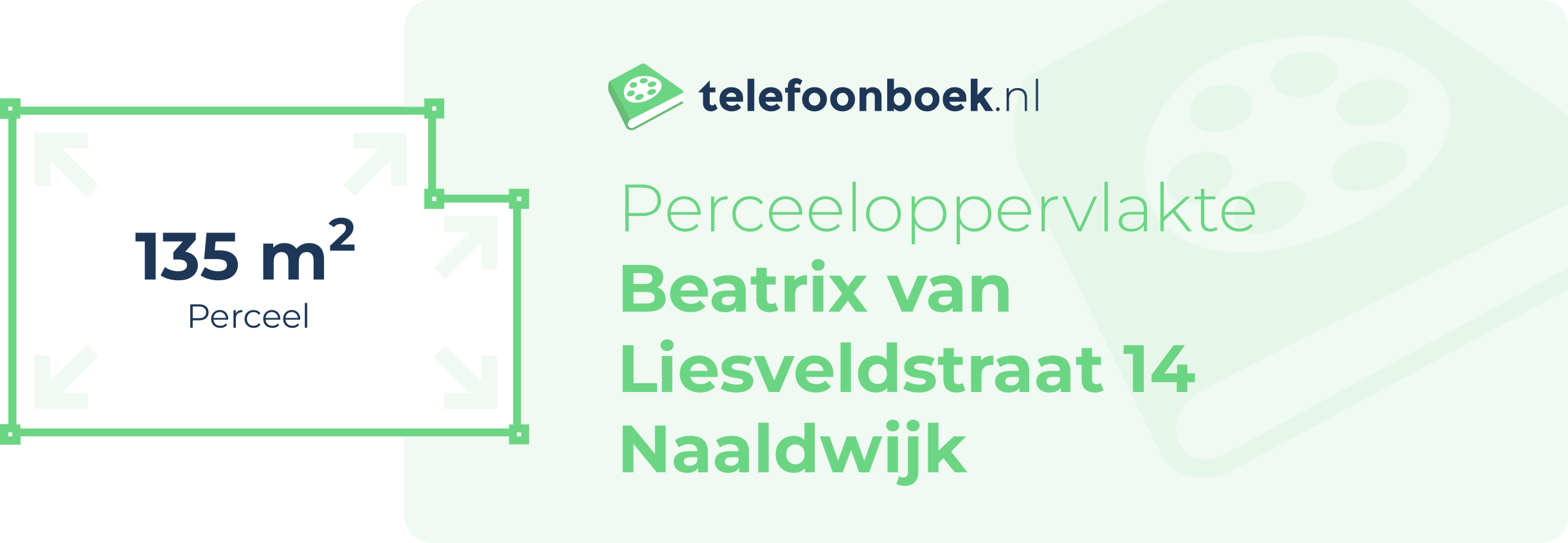 Perceeloppervlakte Beatrix Van Liesveldstraat 14 Naaldwijk