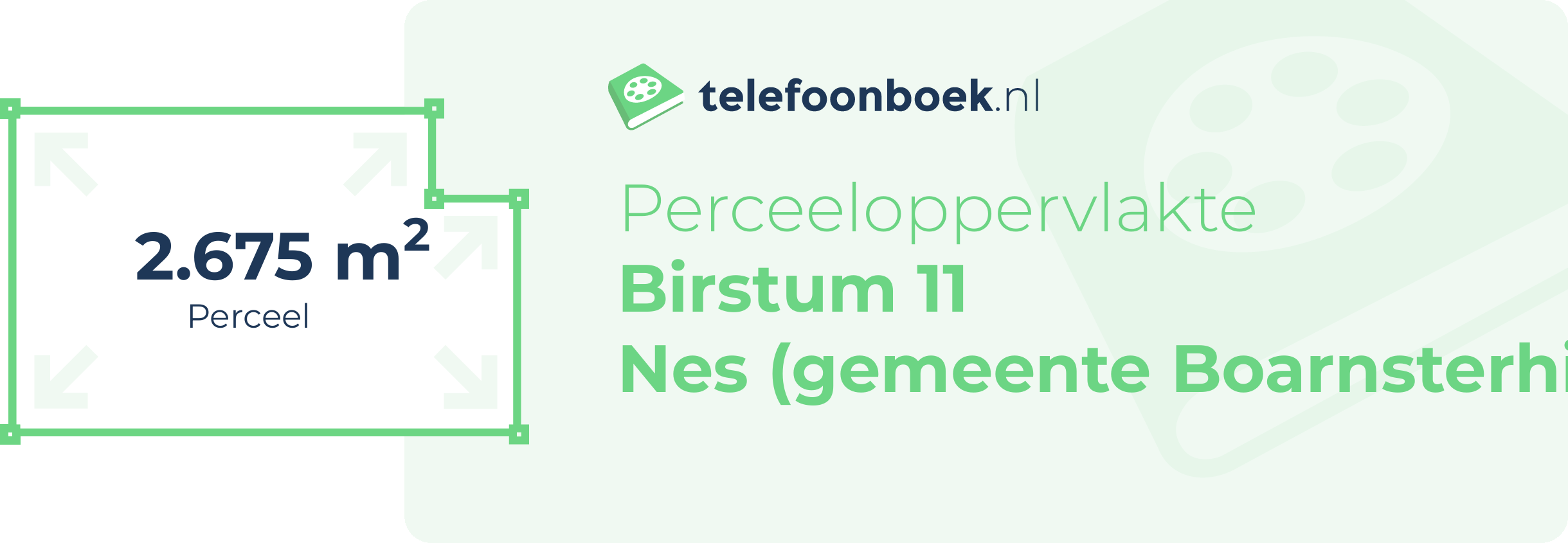 Perceeloppervlakte Birstum 11 Nes (gemeente Boarnsterhim Friesland)