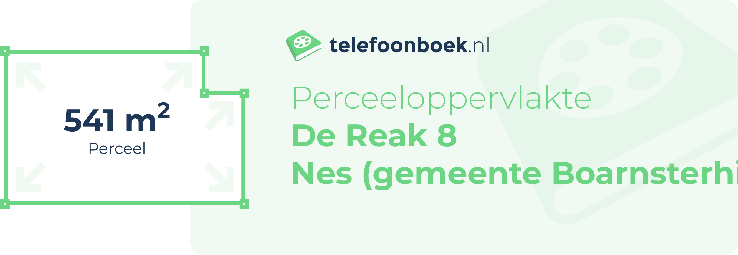 Perceeloppervlakte De Reak 8 Nes (gemeente Boarnsterhim Friesland)