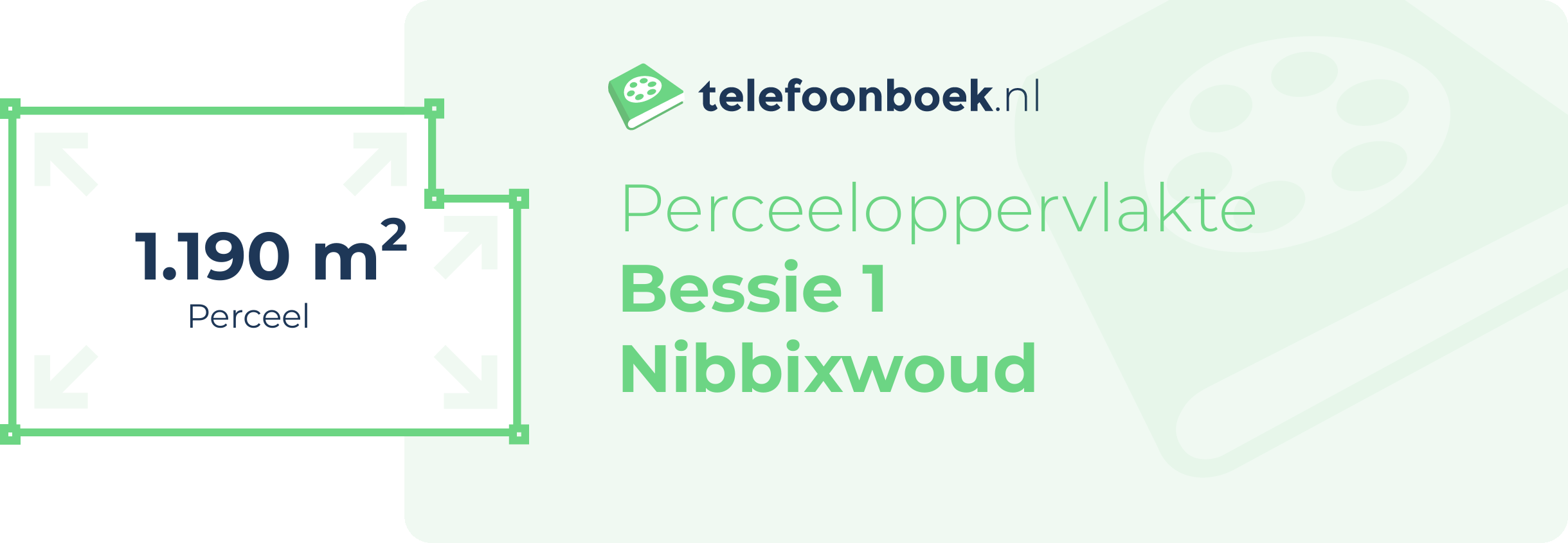 Perceeloppervlakte Bessie 1 Nibbixwoud