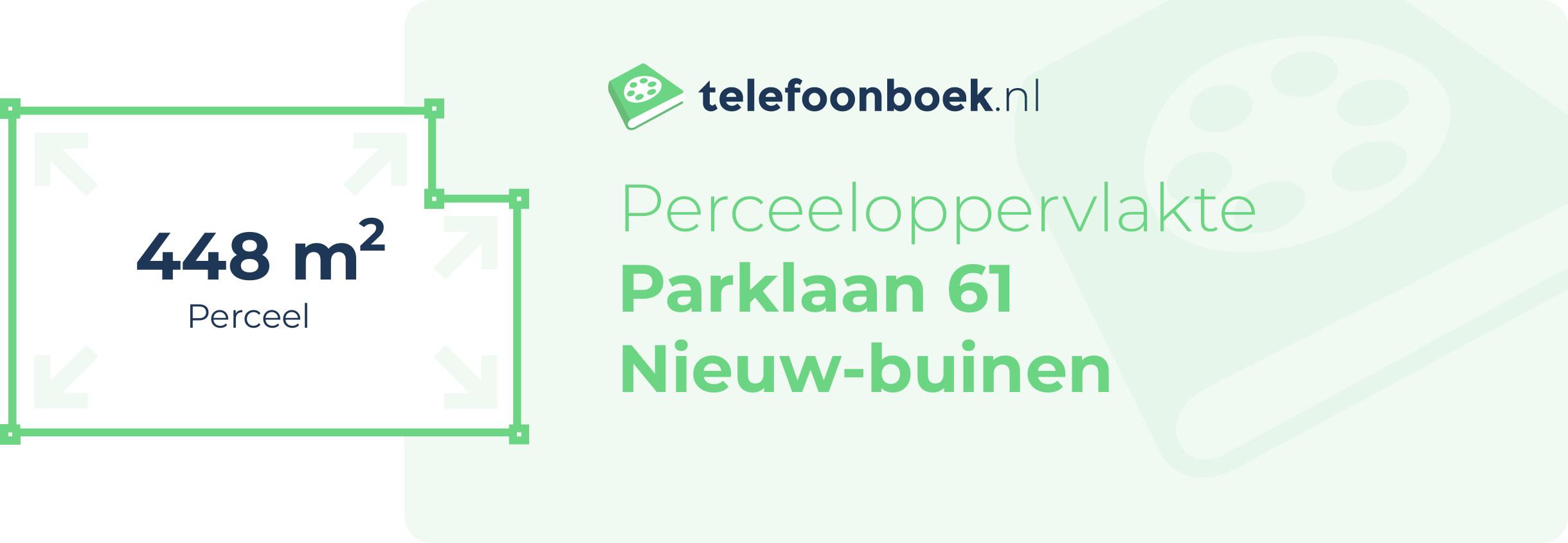 Perceeloppervlakte Parklaan 61 Nieuw-Buinen