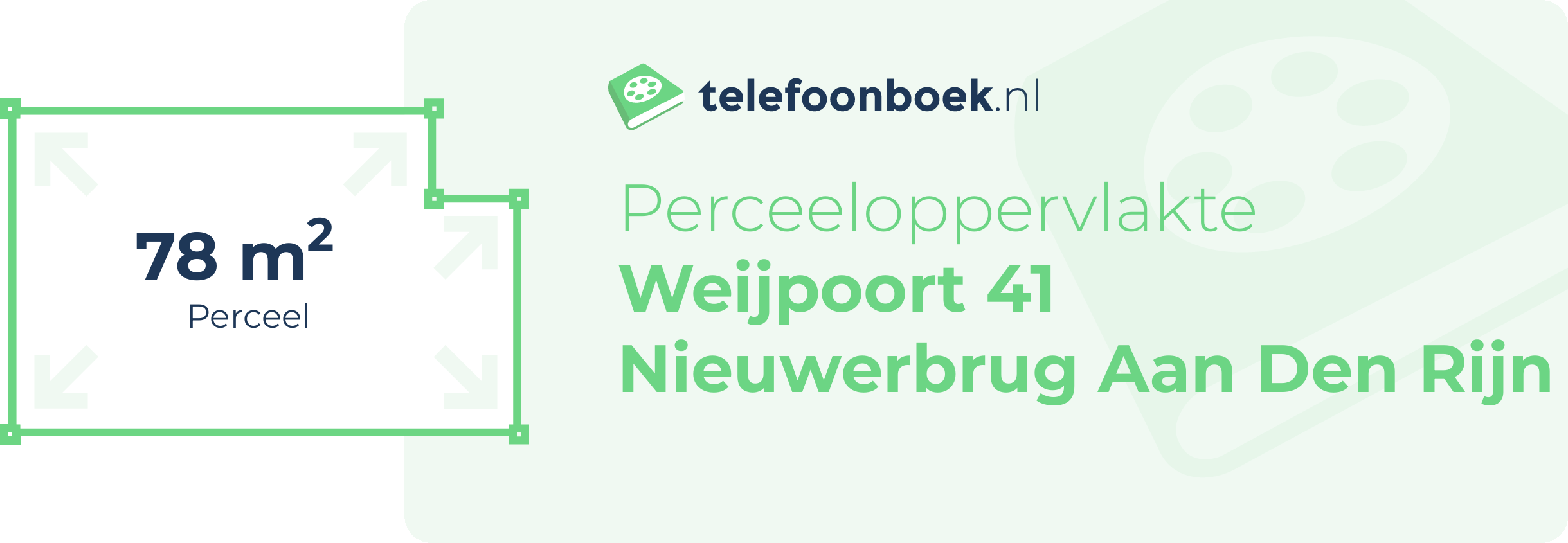 Perceeloppervlakte Weijpoort 41 Nieuwerbrug Aan Den Rijn