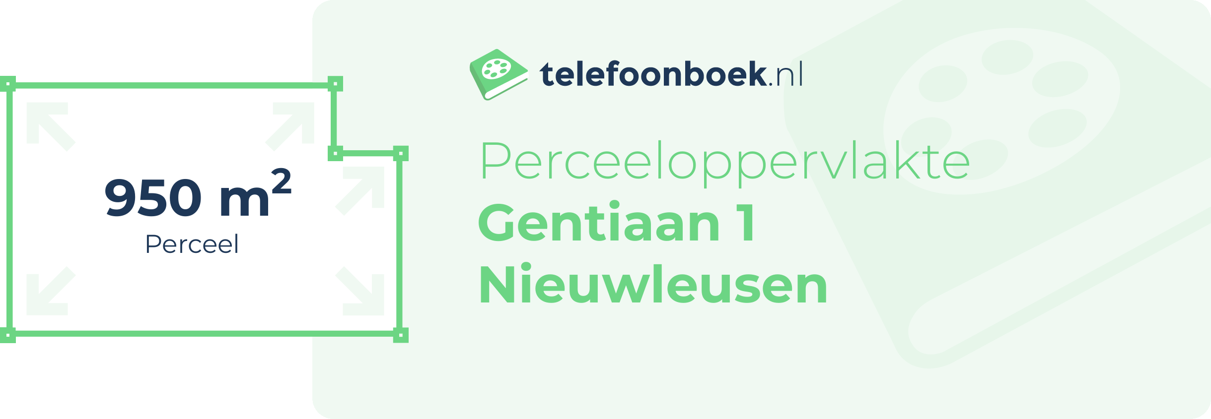 Perceeloppervlakte Gentiaan 1 Nieuwleusen