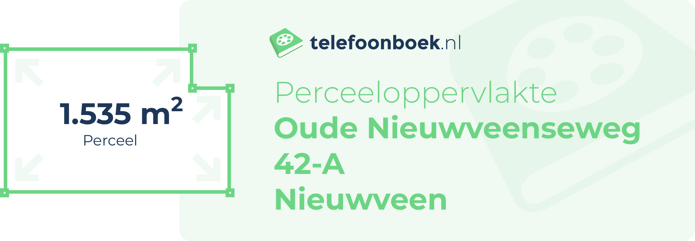 Perceeloppervlakte Oude Nieuwveenseweg 42-A Nieuwveen