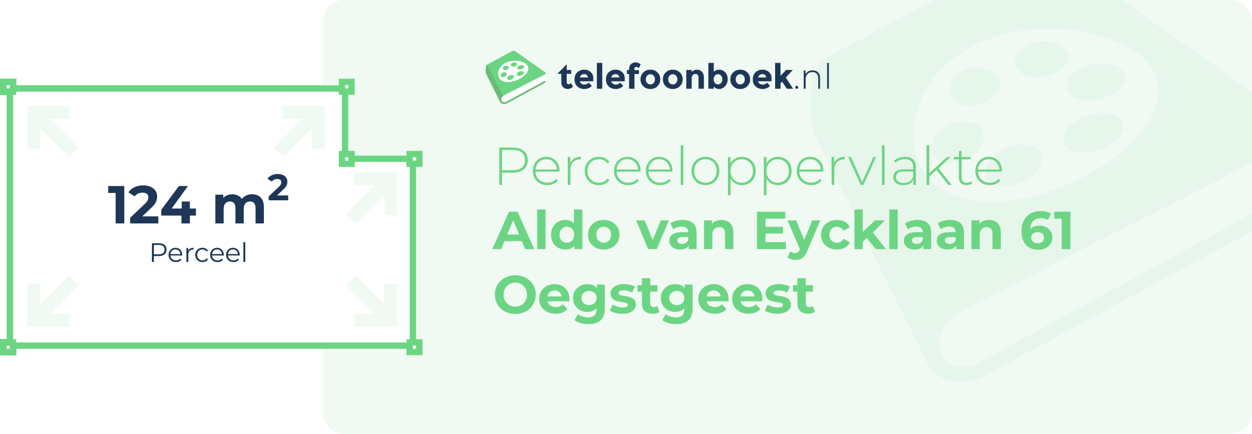 Perceeloppervlakte Aldo Van Eycklaan 61 Oegstgeest