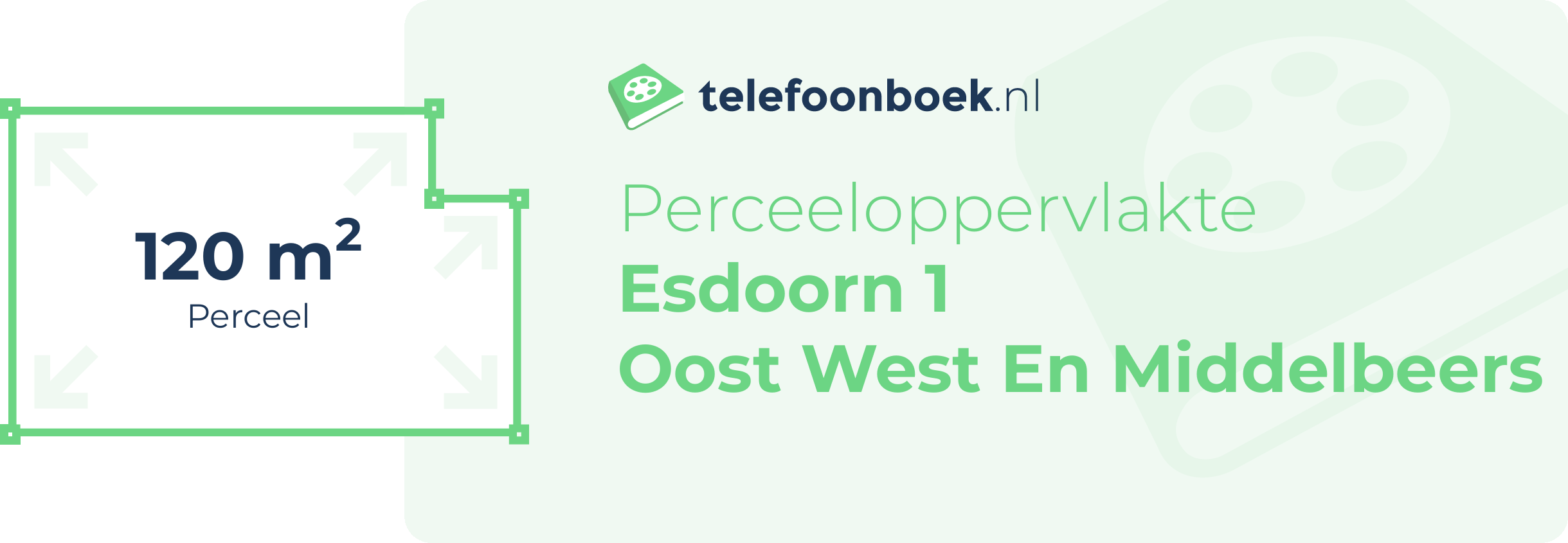 Perceeloppervlakte Esdoorn 1 Oost West En Middelbeers