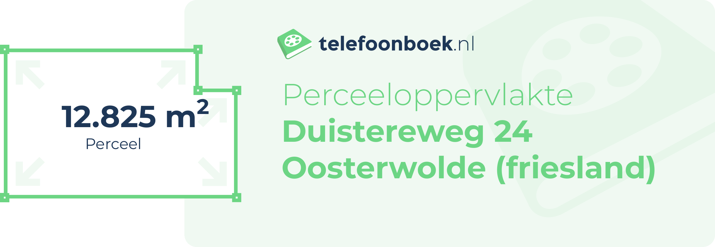 Perceeloppervlakte Duistereweg 24 Oosterwolde (Friesland)