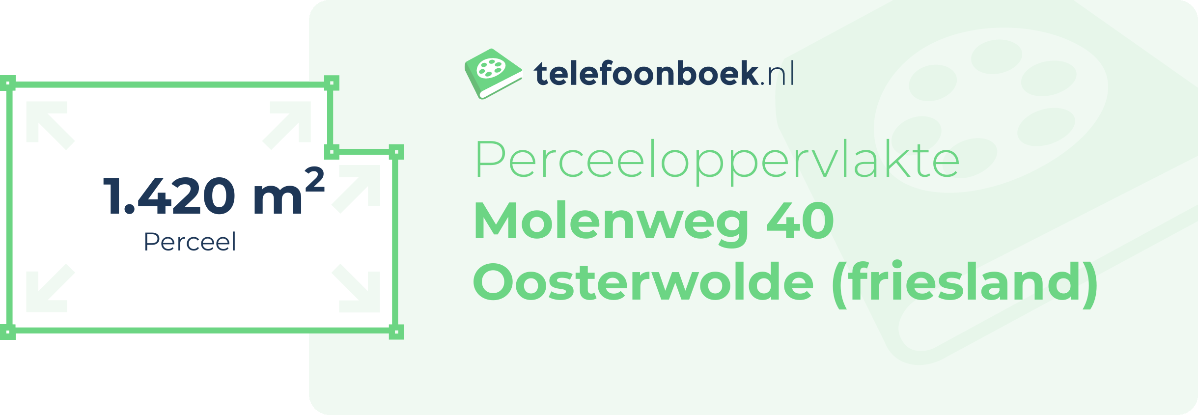 Perceeloppervlakte Molenweg 40 Oosterwolde (Friesland)