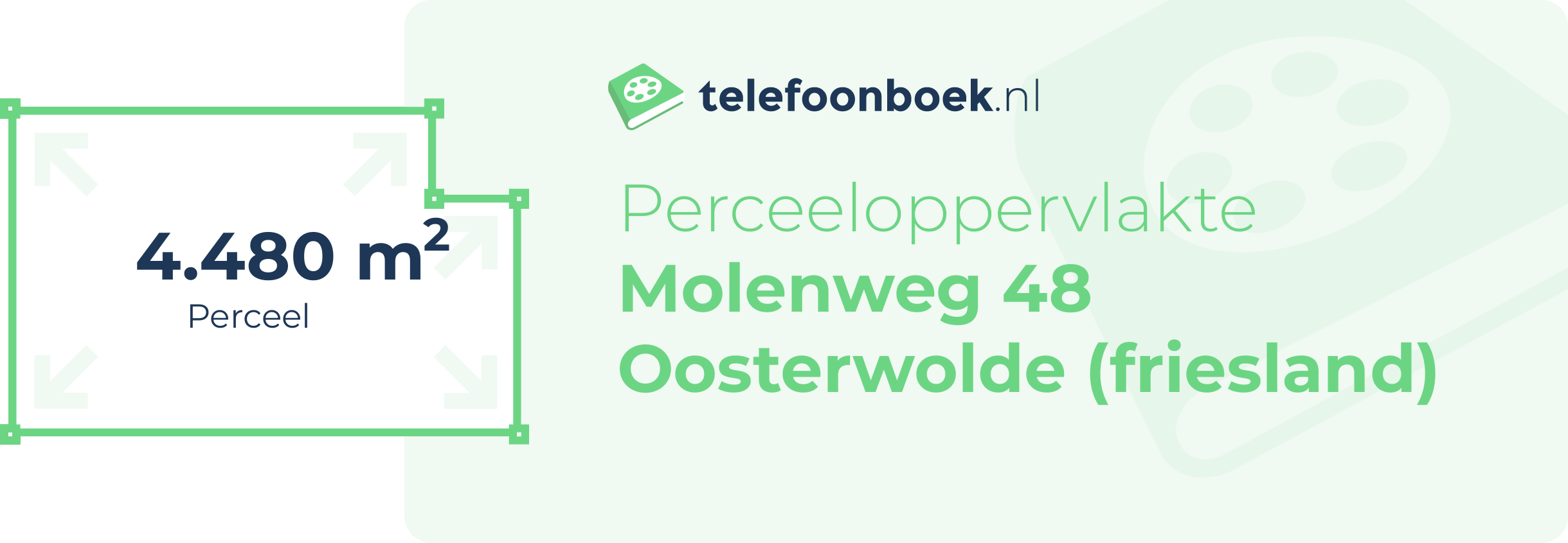 Perceeloppervlakte Molenweg 48 Oosterwolde (Friesland)