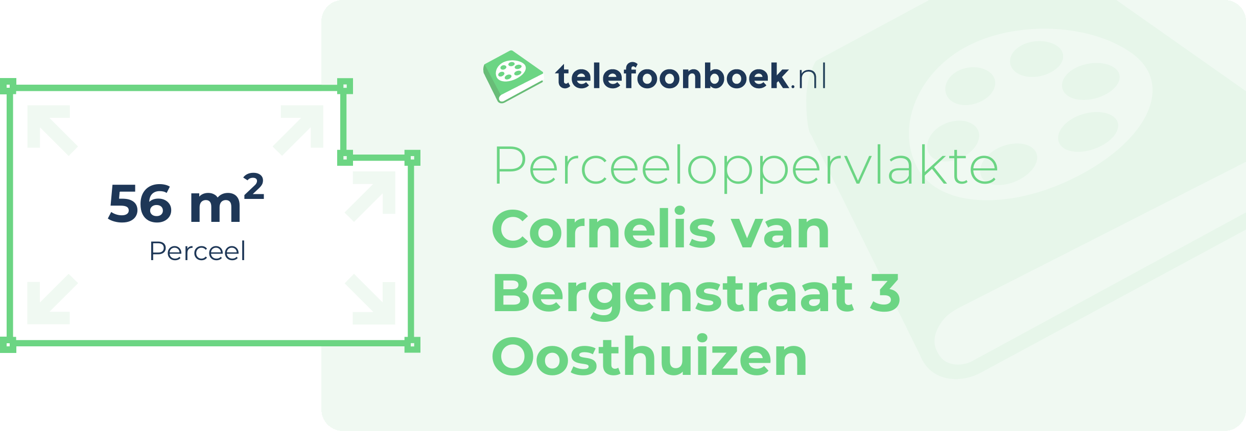 Perceeloppervlakte Cornelis Van Bergenstraat 3 Oosthuizen