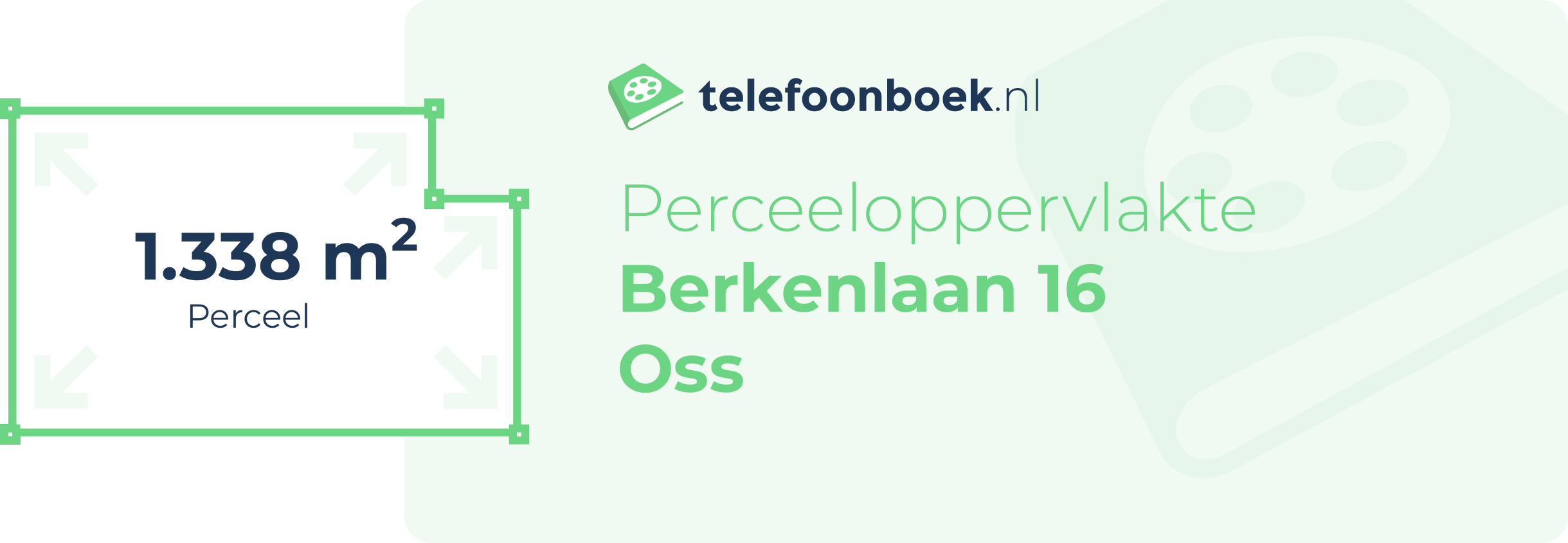 Perceeloppervlakte Berkenlaan 16 Oss